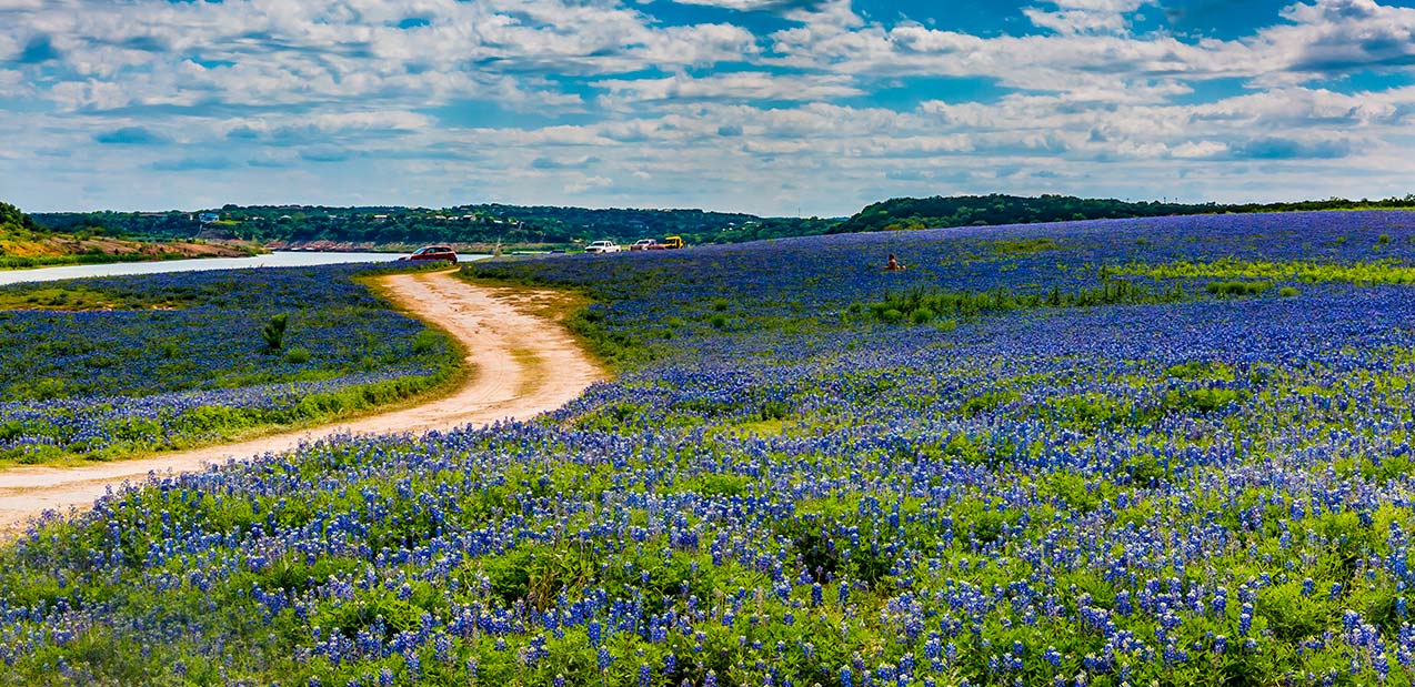 Big Texas Land Company - Texas Hill Country Real Estate